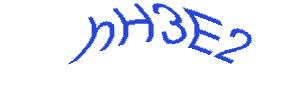 عبارت امنیتی