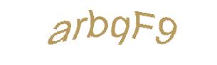 عبارت امنیتی