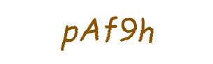 عبارت امنیتی