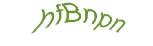 عبارت امنیتی