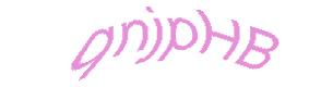 عبارت امنیتی