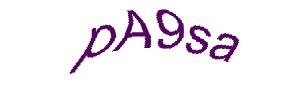 عبارت امنیتی