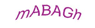 عبارت امنیتی