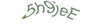 عبارت امنیتی