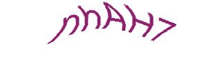 عبارت امنیتی