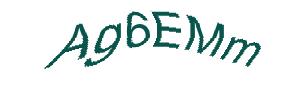 عبارت امنیتی