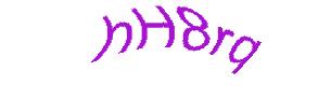 عبارت امنیتی