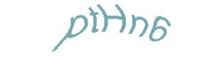 عبارت امنیتی