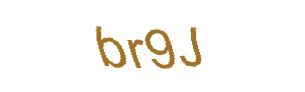 عبارت امنیتی