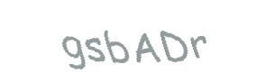 عبارت امنیتی