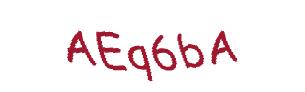 عبارت امنیتی