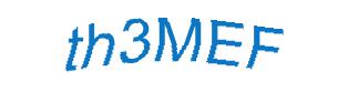 عبارت امنیتی