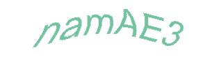 عبارت امنیتی