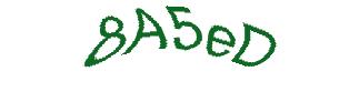 عبارت امنیتی