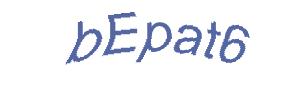 عبارت امنیتی