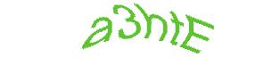 عبارت امنیتی