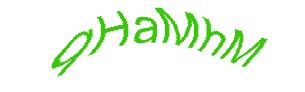 عبارت امنیتی