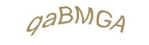 عبارت امنیتی