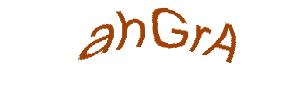 عبارت امنیتی