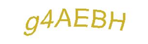 عبارت امنیتی