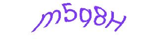 عبارت امنیتی