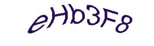 عبارت امنیتی