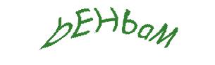 عبارت امنیتی