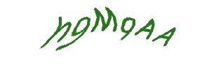 عبارت امنیتی