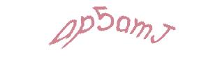 عبارت امنیتی