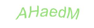 عبارت امنیتی