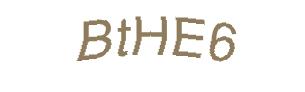 عبارت امنیتی
