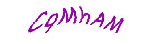 عبارت امنیتی