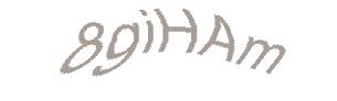 عبارت امنیتی
