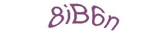 عبارت امنیتی