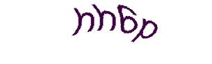 عبارت امنیتی