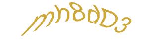 عبارت امنیتی