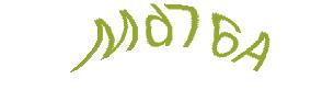 عبارت امنیتی