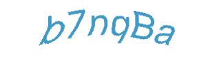 عبارت امنیتی