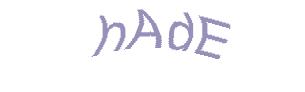 عبارت امنیتی