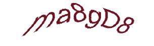 عبارت امنیتی