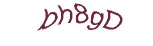 عبارت امنیتی