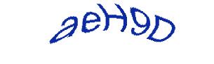 عبارت امنیتی
