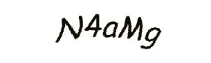 عبارت امنیتی