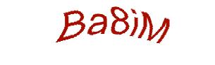 عبارت امنیتی