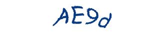 عبارت امنیتی