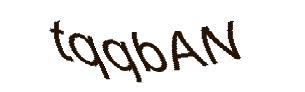 عبارت امنیتی