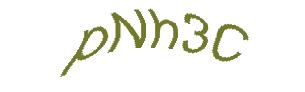 عبارت امنیتی