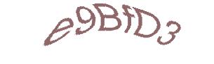 عبارت امنیتی