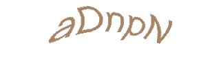 عبارت امنیتی