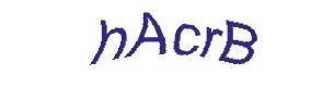 عبارت امنیتی